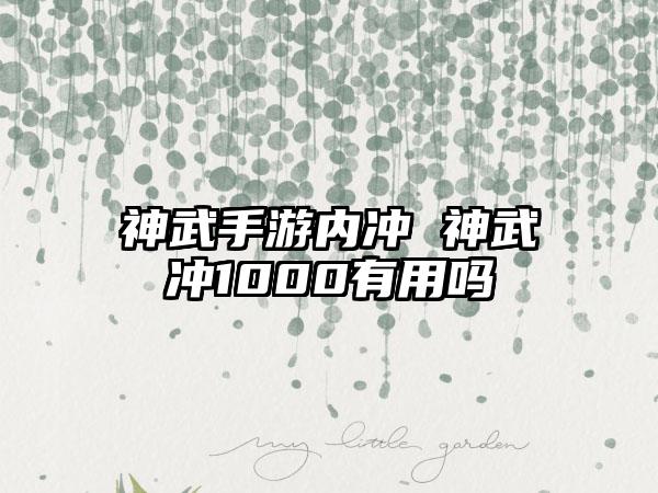 神武手游内冲 神武冲1000有用吗
