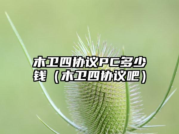 木卫四协议PC多少钱（木卫四协议吧）