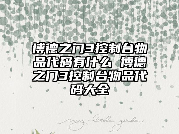 博德之门3控制台物品代码有什么 博德之门3控制台物品代码大全