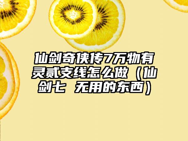仙剑奇侠传7万物有灵贰支线怎么做（仙剑七 无用的东西）