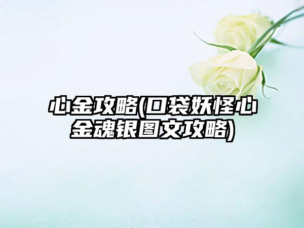 心金攻略(口袋妖怪心金魂银图文攻略)