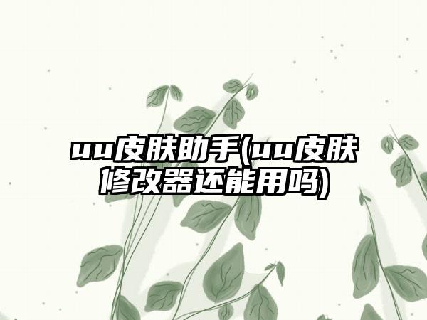 uu皮肤助手(uu皮肤修改器还能用吗)