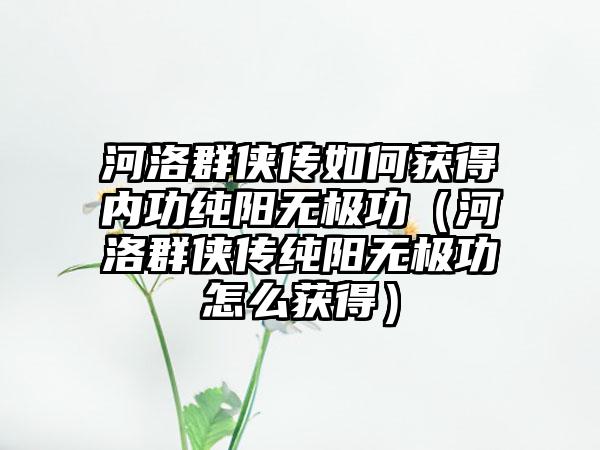 河洛群侠传如何获得内功纯阳无极功（河洛群侠传纯阳无极功怎么获得）