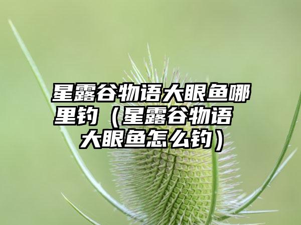 星露谷物语大眼鱼哪里钓（星露谷物语 大眼鱼怎么钓）