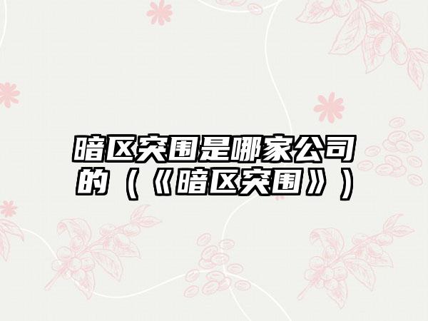 暗区突围是哪家公司的（《暗区突围》）