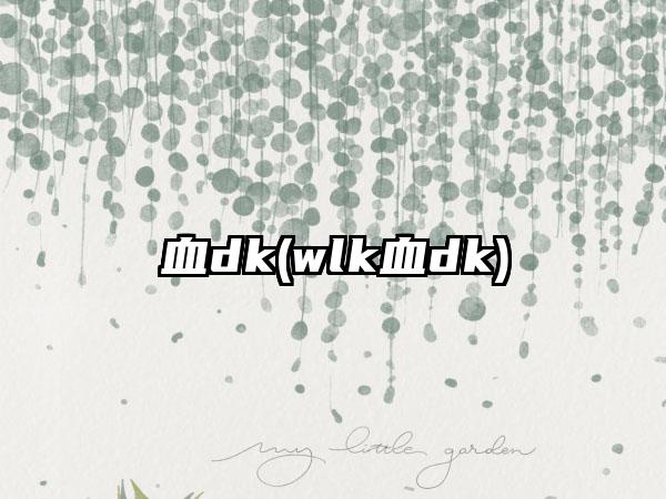 血dk(wlk血dk)