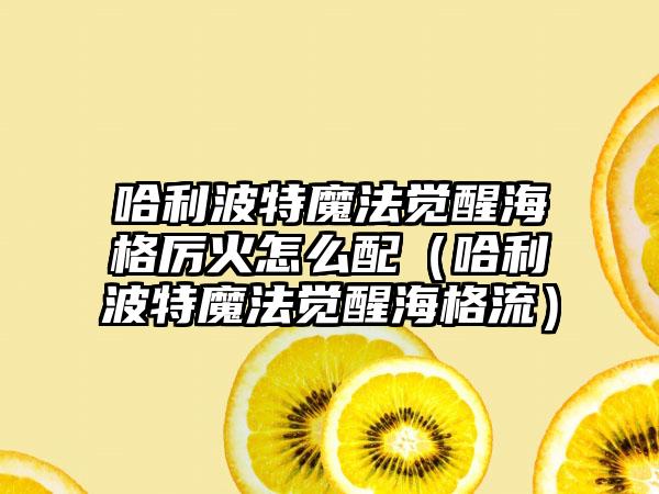 哈利波特魔法觉醒海格厉火怎么配（哈利波特魔法觉醒海格流）