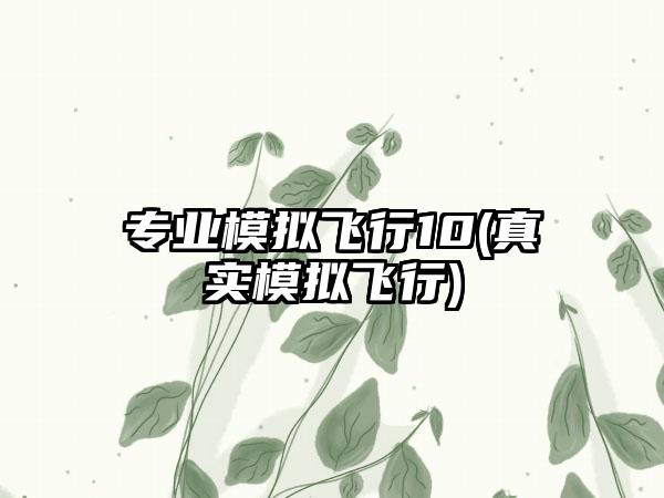专业模拟飞行10(真实模拟飞行)