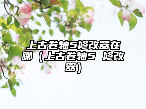 上古卷轴5修改器在哪（上古卷轴5 修改器）