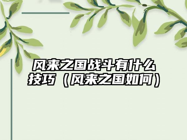 风来之国战斗有什么技巧（风来之国如何）