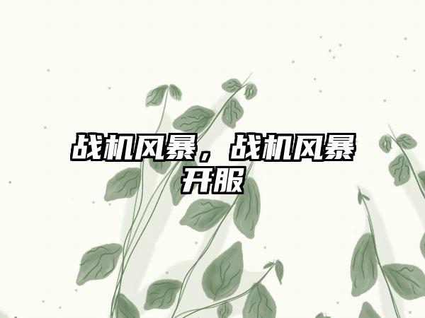 战机风暴，战机风暴开服