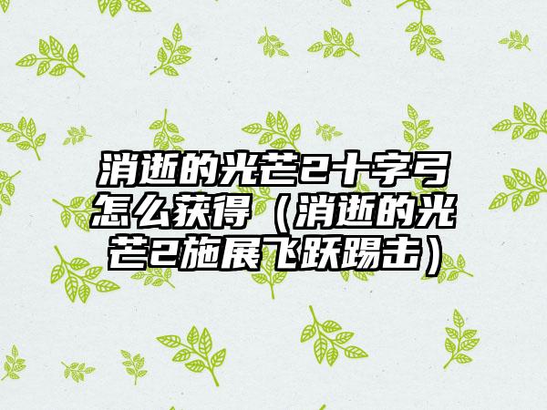 消逝的光芒2十字弓怎么获得（消逝的光芒2施展飞跃踢击）