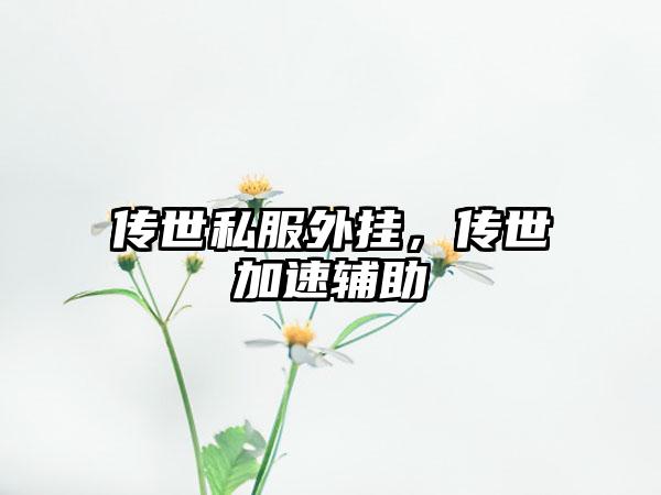 传世私服外挂，传世加速辅助