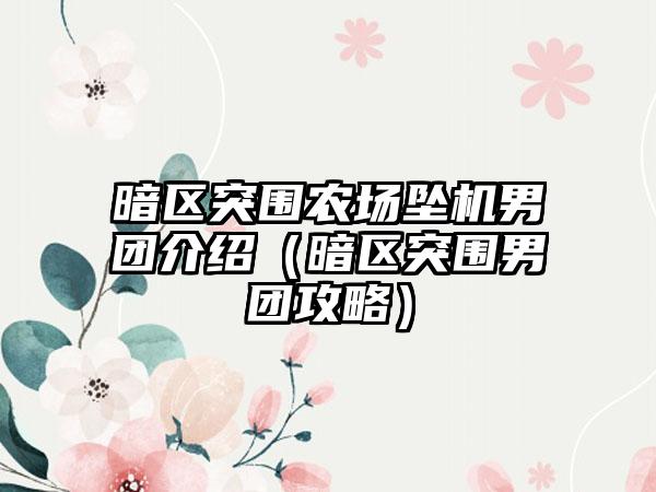 暗区突围农场坠机男团介绍（暗区突围男团攻略）