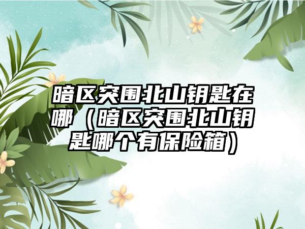 暗区突围北山钥匙在哪（暗区突围北山钥匙哪个有保险箱）