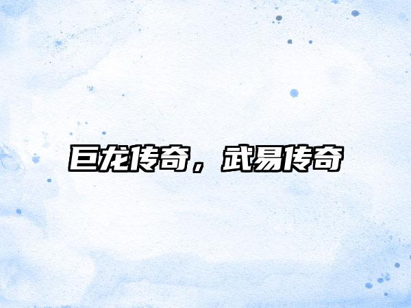 巨龙传奇，武易传奇