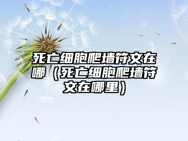 死亡细胞爬墙符文在哪（死亡细胞爬墙符文在哪里）