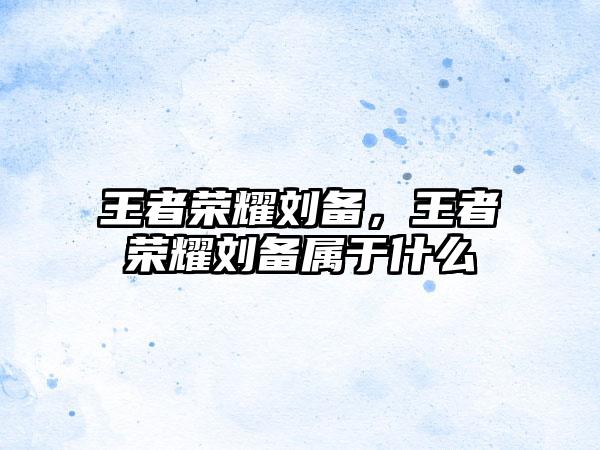 王者荣耀刘备，王者荣耀刘备属于什么