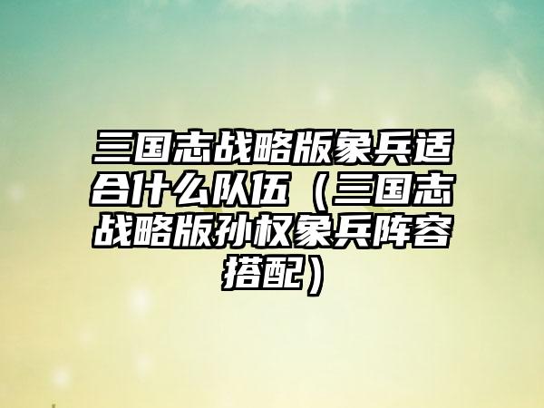 三国志战略版象兵适合什么队伍（三国志战略版孙权象兵阵容搭配）