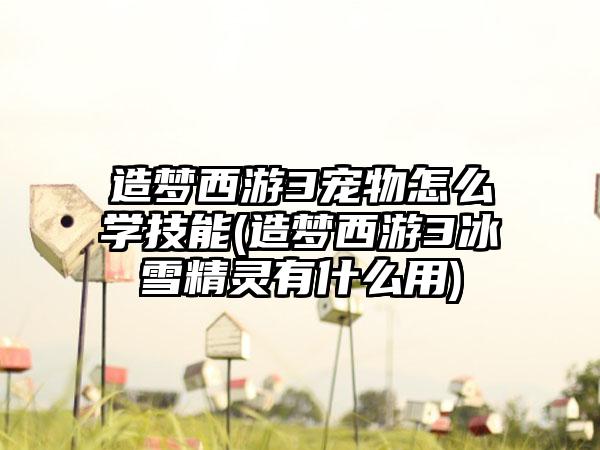 造梦西游3宠物怎么学技能(造梦西游3冰雪精灵有什么用)