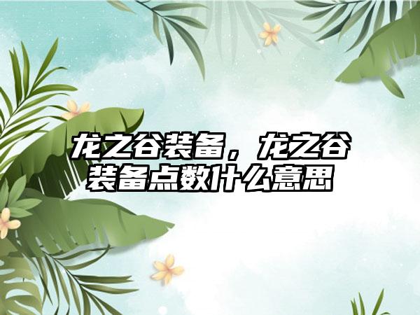 龙之谷装备，龙之谷装备点数什么意思