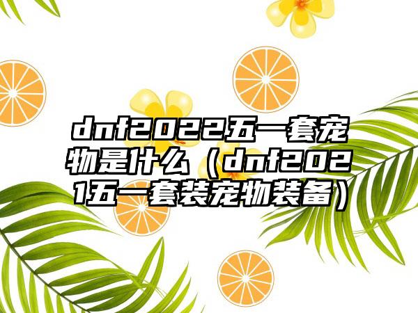dnf2022五一套宠物是什么（dnf2021五一套装宠物装备）