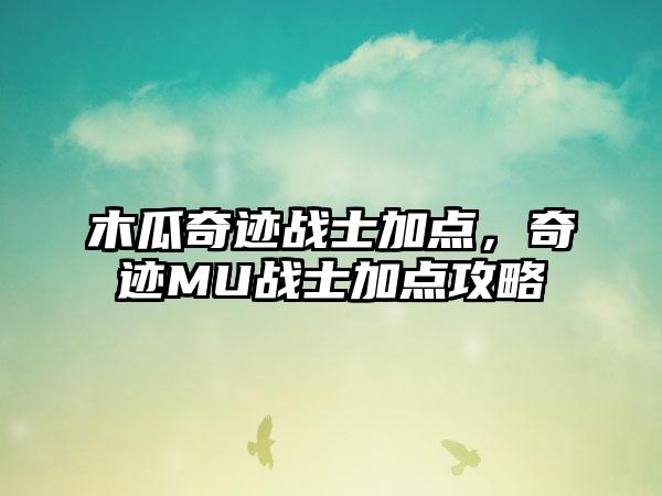 木瓜奇迹战士加点，奇迹MU战士加点攻略