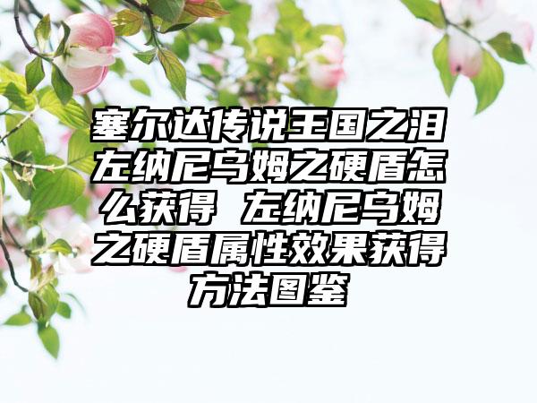 塞尔达传说王国之泪左纳尼乌姆之硬盾怎么获得 左纳尼乌姆之硬盾属性效果获得方法图鉴