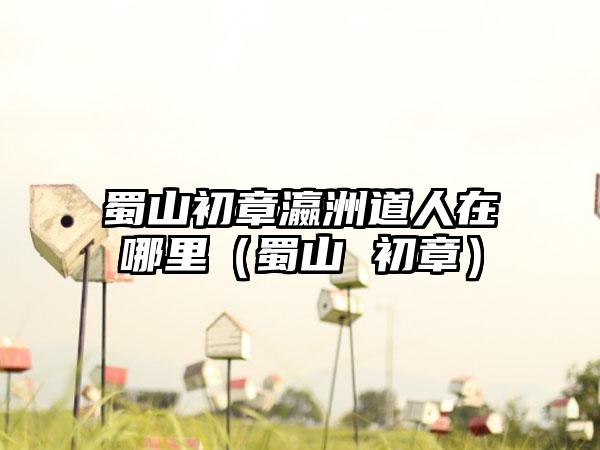 蜀山初章瀛洲道人在哪里（蜀山 初章）
