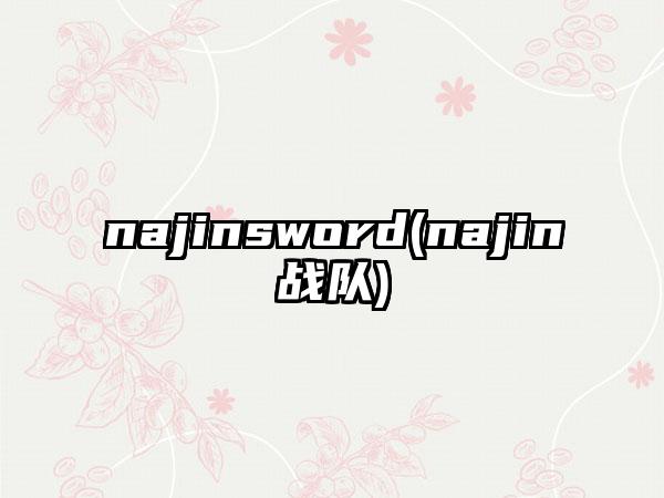 najinsword(najin战队)