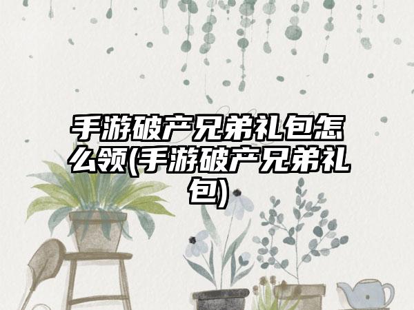 手游破产兄弟礼包怎么领(手游破产兄弟礼包)