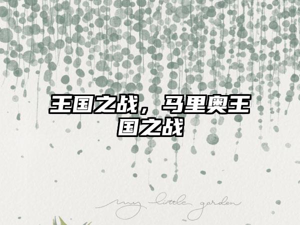 王国之战，马里奥王国之战