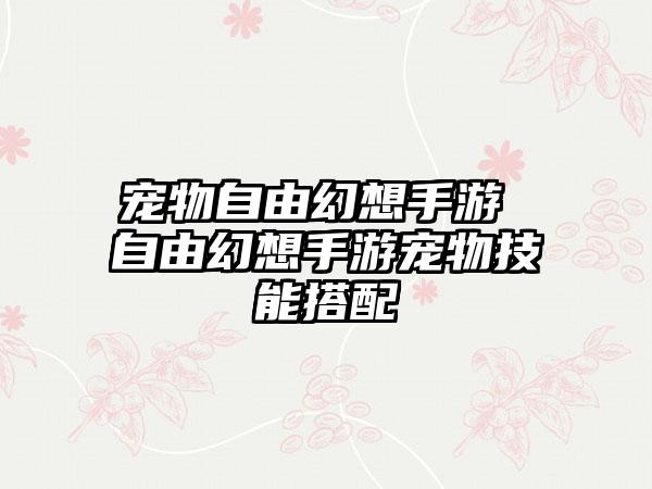 宠物自由幻想手游 自由幻想手游宠物技能搭配