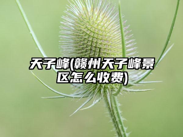 天子峰(赣州天子峰景区怎么收费)