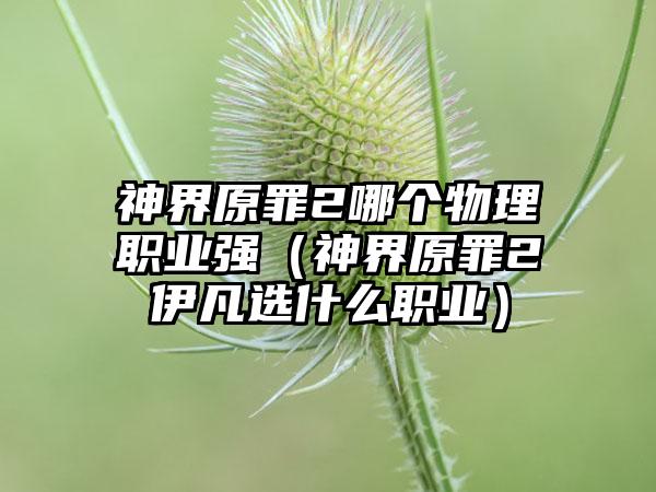 神界原罪2哪个物理职业强（神界原罪2伊凡选什么职业）