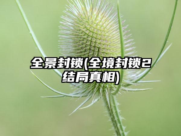 全景封锁(全境封锁2结局真相)