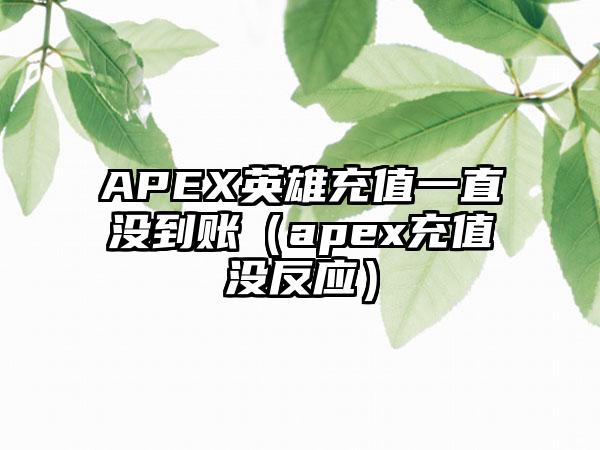 APEX英雄充值一直没到账（apex充值没反应）
