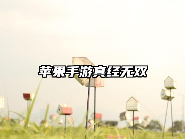 苹果手游真经无双