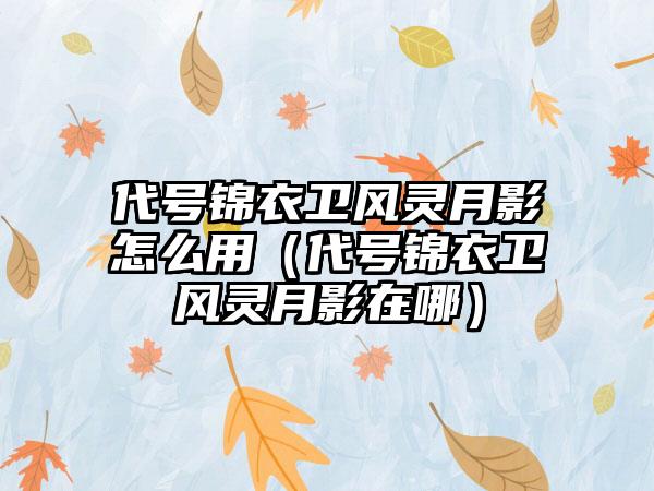 代号锦衣卫风灵月影怎么用（代号锦衣卫风灵月影在哪）