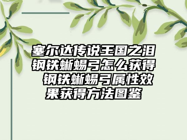 塞尔达传说王国之泪钢铁蜥蜴弓怎么获得 钢铁蜥蜴弓属性效果获得方法图鉴