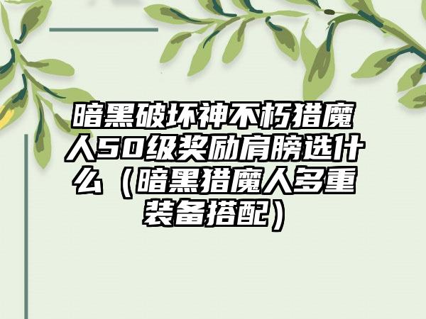 暗黑破坏神不朽猎魔人50级奖励肩膀选什么（暗黑猎魔人多重装备搭配）