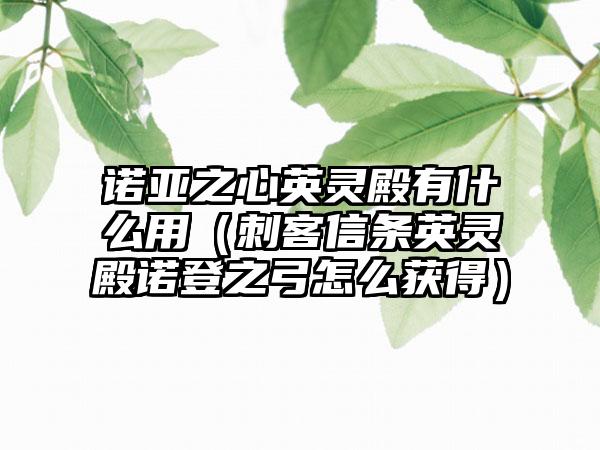 诺亚之心英灵殿有什么用（刺客信条英灵殿诺登之弓怎么获得）