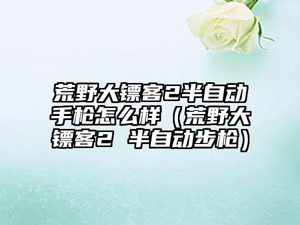 荒野大镖客2半自动手枪怎么样（荒野大镖客2 半自动步枪）