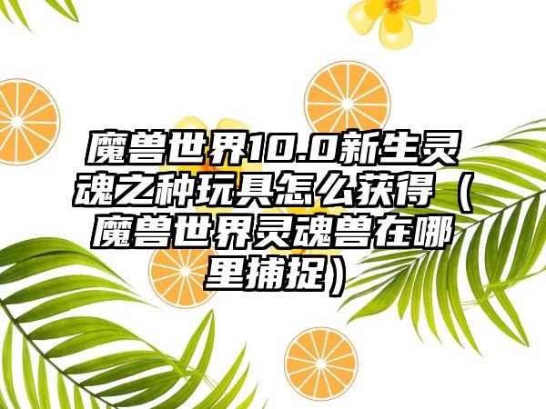 魔兽世界10.0新生灵魂之种玩具怎么获得（魔兽世界灵魂兽在哪里捕捉）