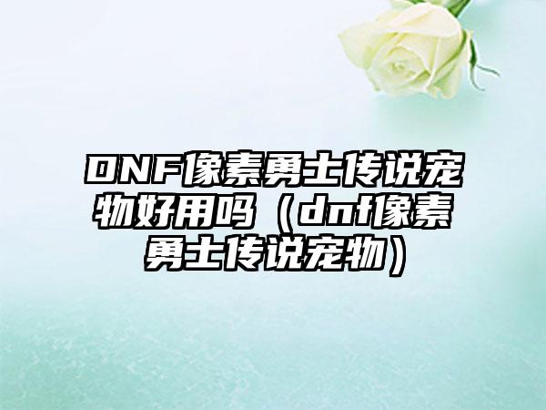 DNF像素勇士传说宠物好用吗（dnf像素勇士传说宠物）