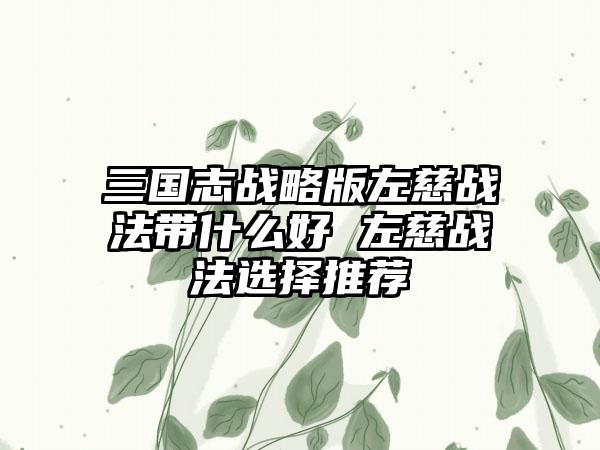三国志战略版左慈战法带什么好 左慈战法选择推荐