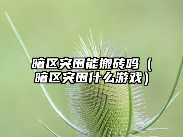 暗区突围能搬砖吗（暗区突围什么游戏）