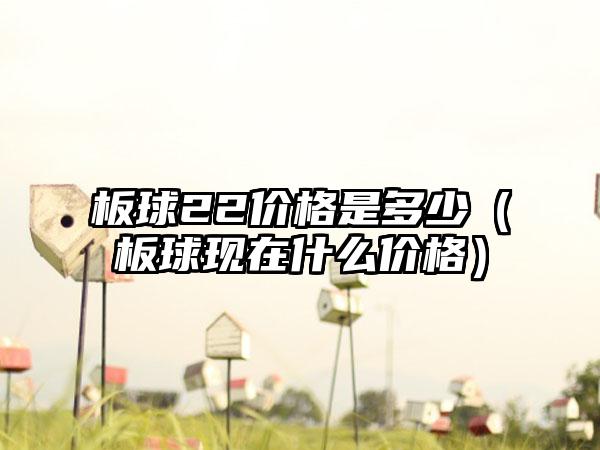 板球22价格是多少（板球现在什么价格）