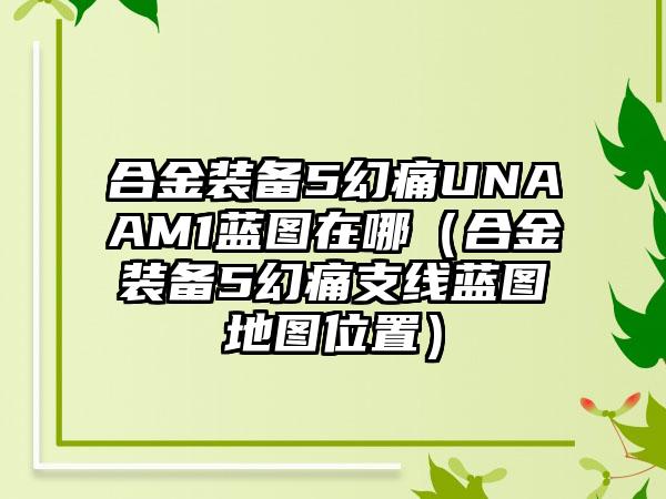 合金装备5幻痛UNAAM1蓝图在哪（合金装备5幻痛支线蓝图地图位置）