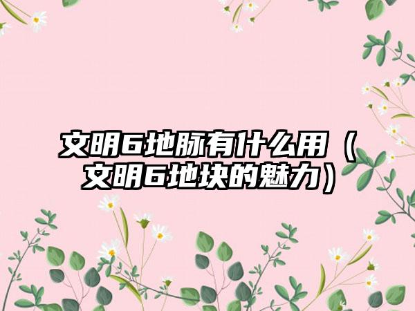 文明6地脉有什么用（文明6地块的魅力）